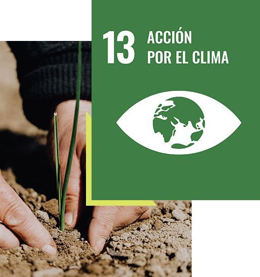 accion-por-clima